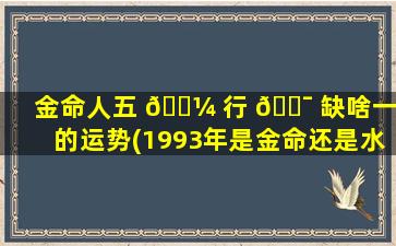 金命人五 🌼 行 🐯 缺啥一生的运势(1993年是金命还是水命)